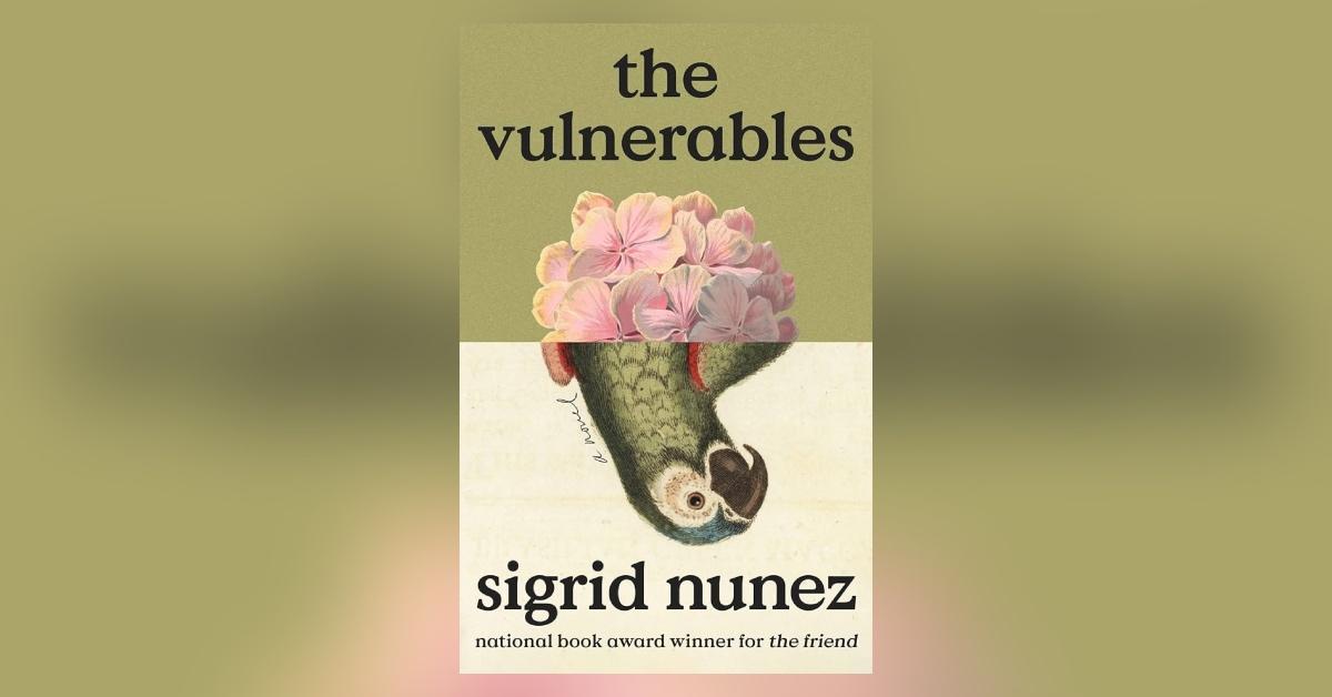 'The Vulnerables'