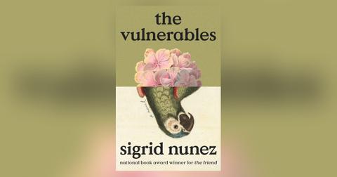 'The Vulnerables'