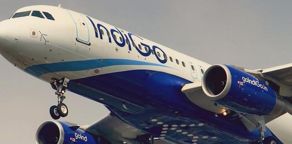 distractify.com - Diego Peralta - IndiGo Airlines Struggles With New Crew Rostering Rules