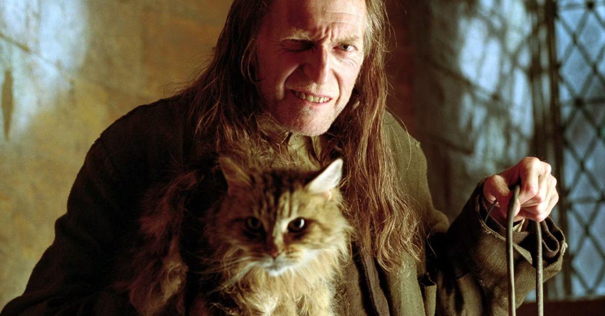 Arugs Filch and Mrs. Norris in Hogwarts