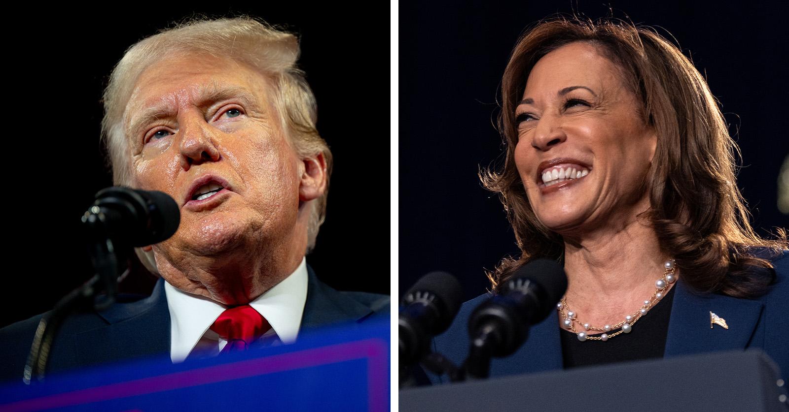 Donald trump kamala harris