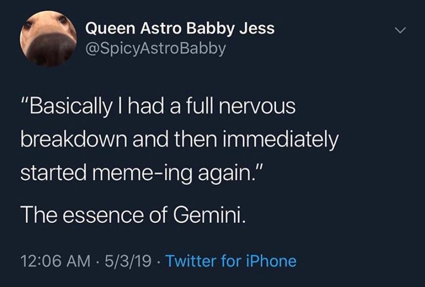 gemini season memes