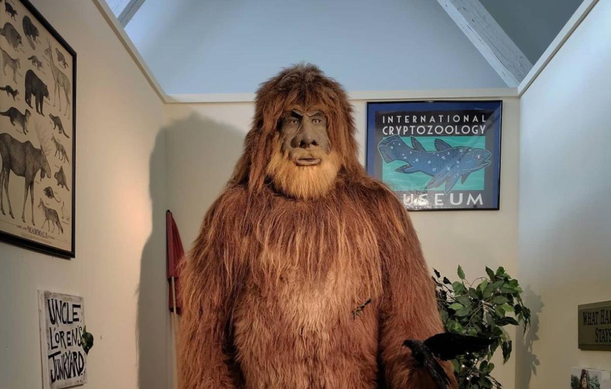 Bigfoot at the International Cryptozoology Museum