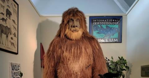 Bigfoot at the International Cryptozoology Museum