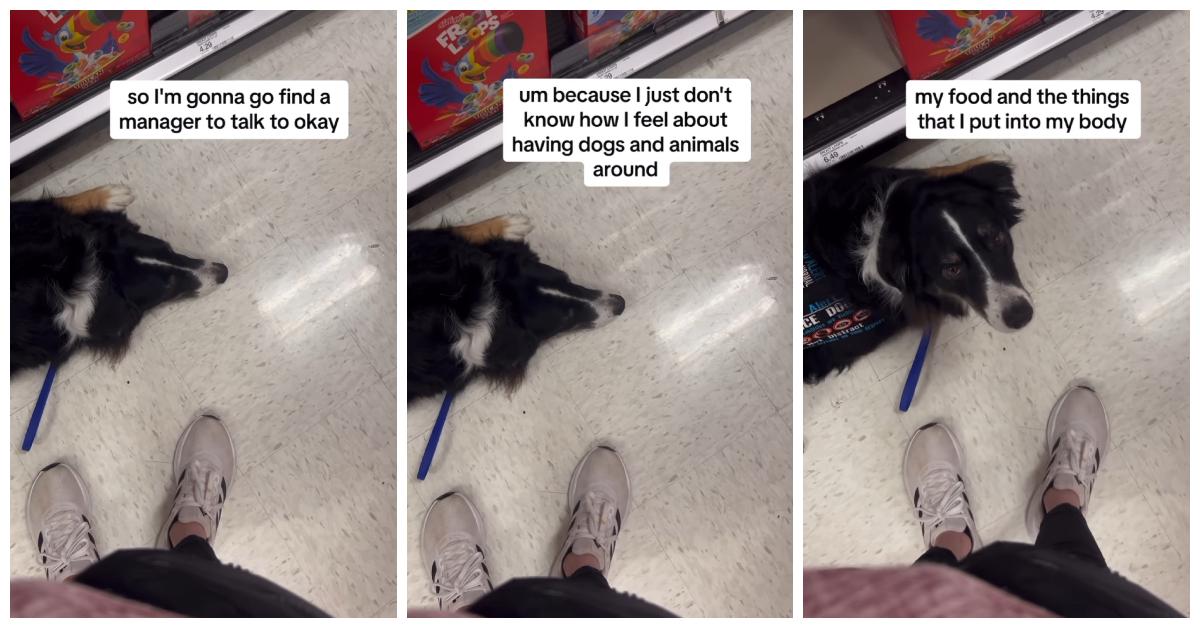 A "Karen" called a service dog "dirty" in a grocery store