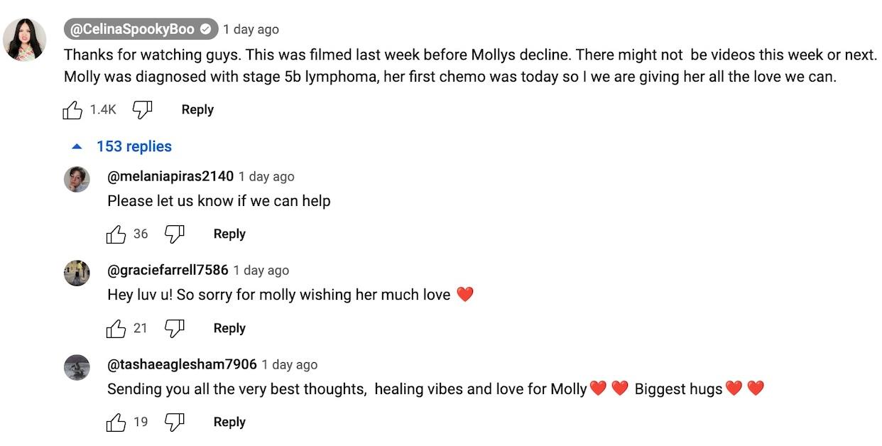 CelinaSpookyBoo YouTube comments about Molly