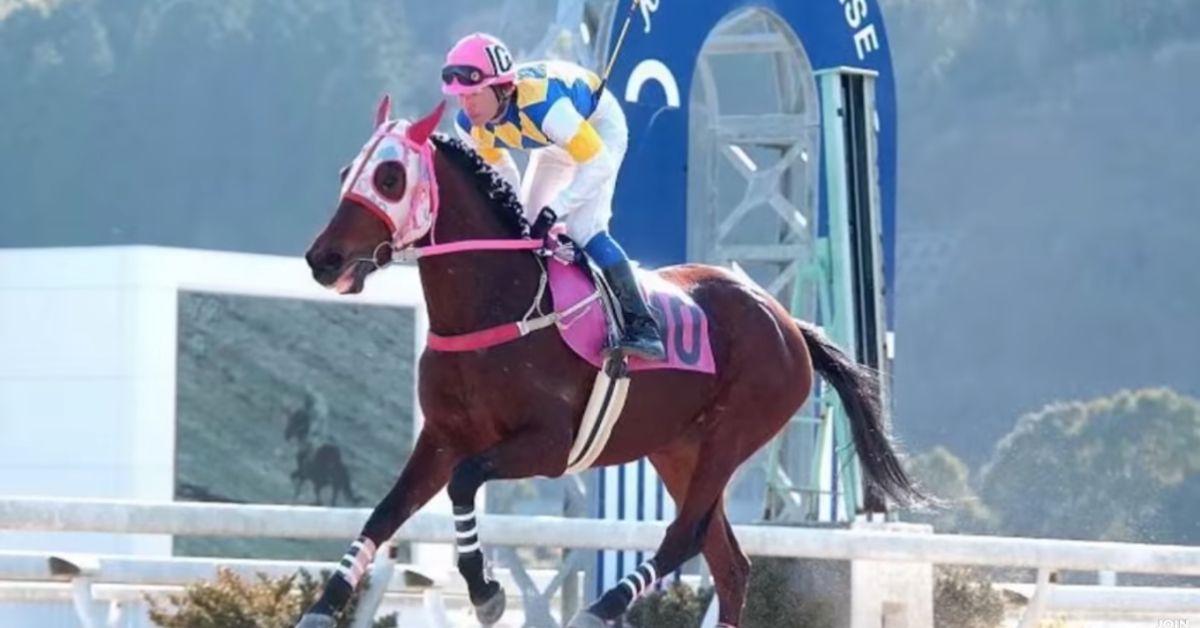 Haru Urara during a horse race