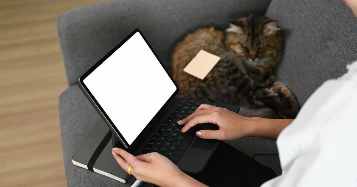 woman on computer next to cat