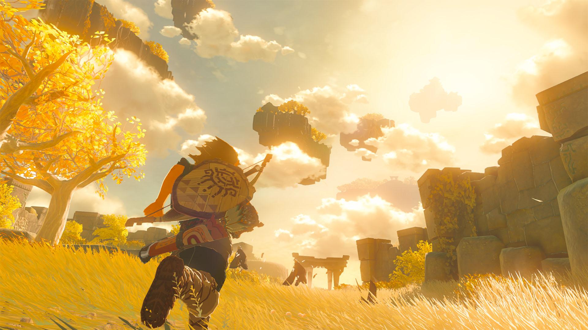 'Tears of the Kingdom' Link running through a field of golden grass on a sky island.