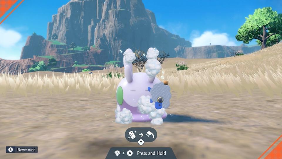 Giving your Pokémon a bath in 'Scarlet' and 'Violet'