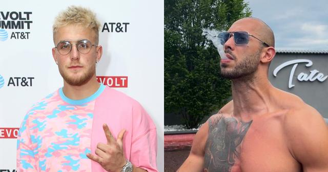 Jake Paul, Andrew Tate