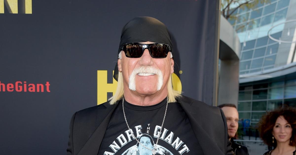 Hulk hogan discount affairs