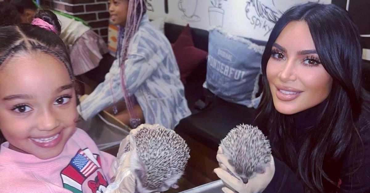 Chicago West and Kim Kardashian hold baby hedgehogs.