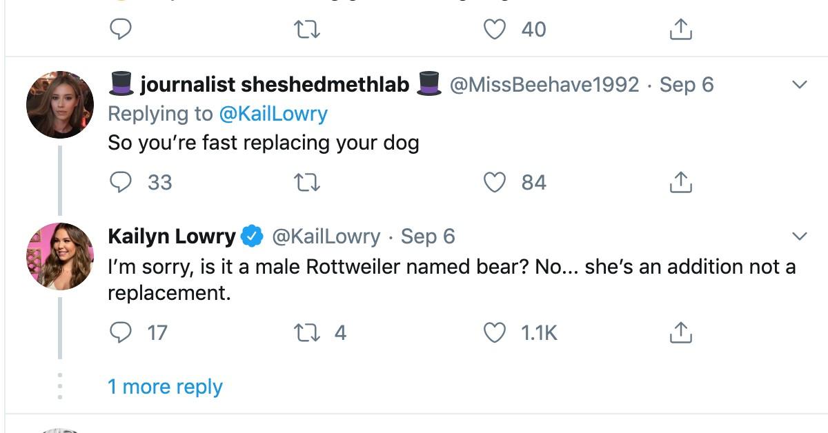 kailyn lowry dog bear