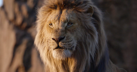 1-lion-king-1580917173357.jpg