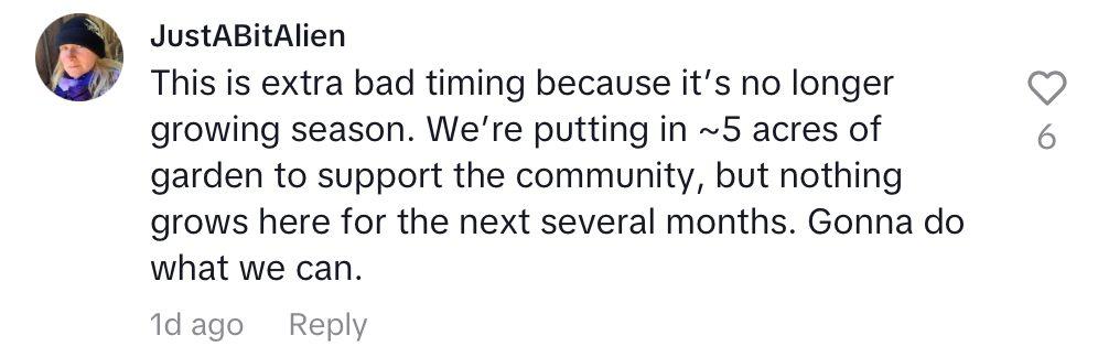 Comment on video of TikToker sharing food stamp alternatives amid government shutdown.