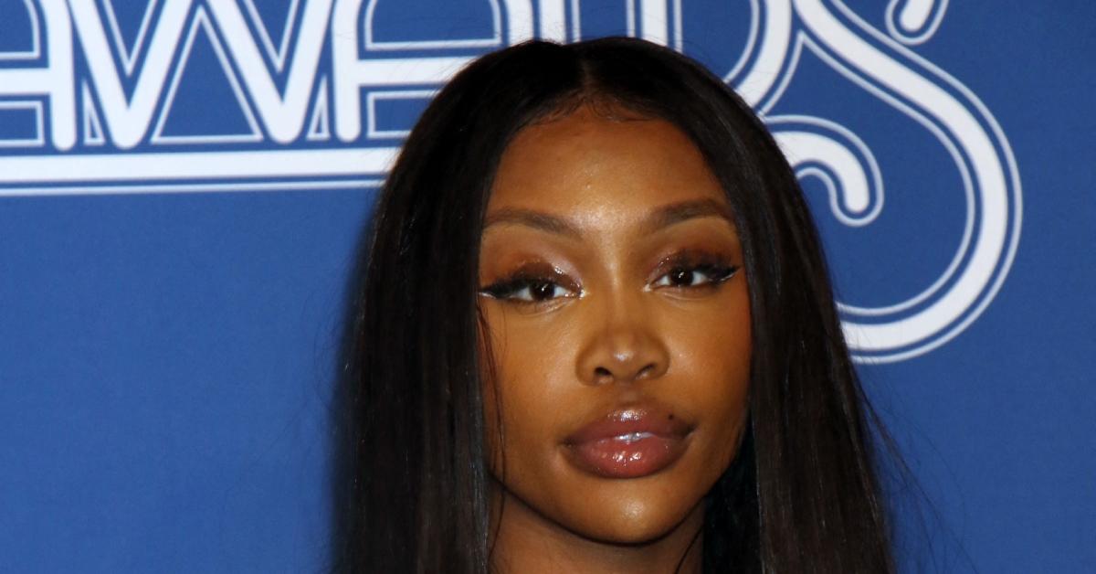 What Does BMF Mean The SZA Song Lyrics Explained what-does-bmf-mean-the-sza-song-lyrics-explained