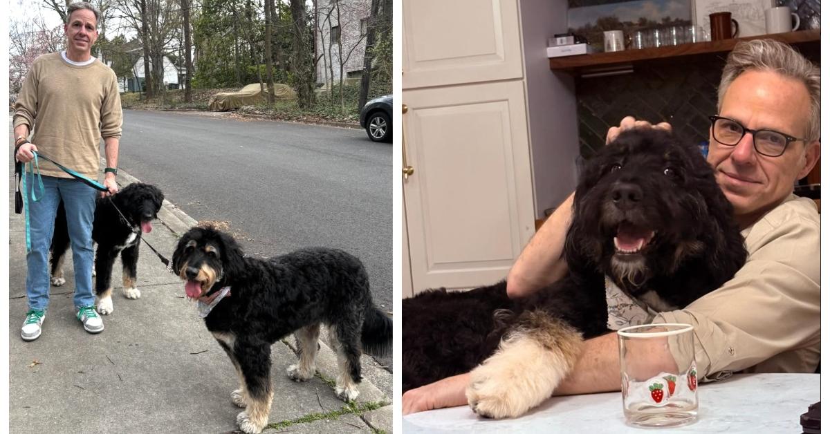Jake Tapper and his dogs