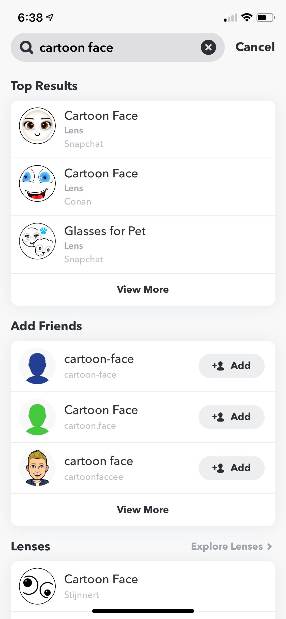 Snapchat filter Disney dogs  How to use cartoon face on your pet