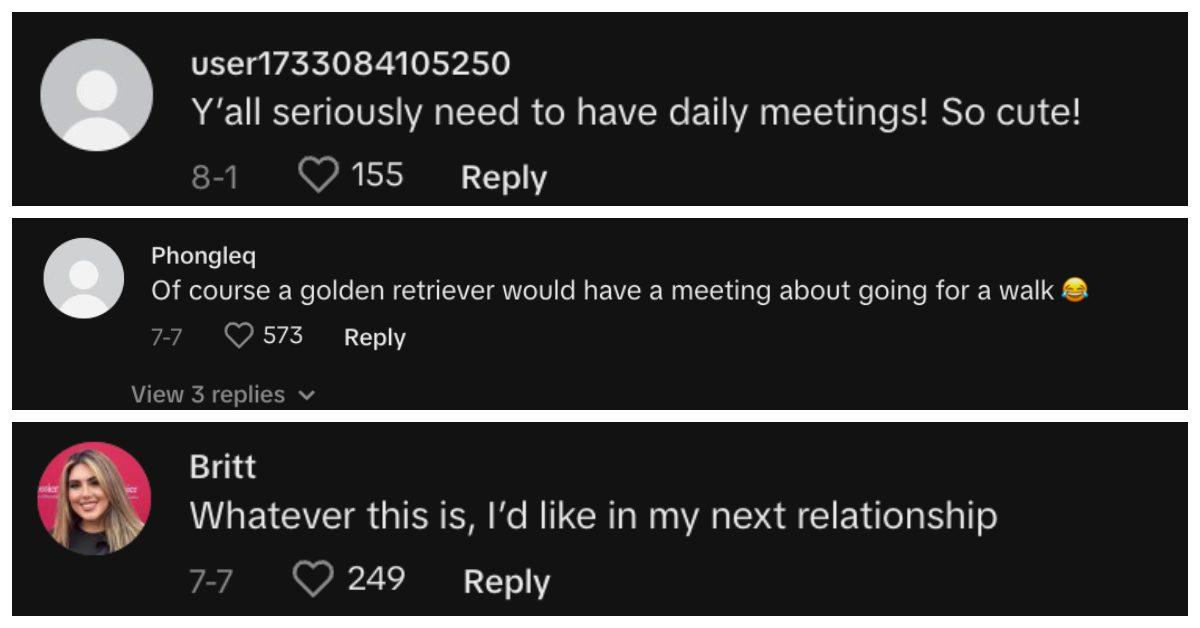 Commenters love the couple's meeting and say they should have meeting more often