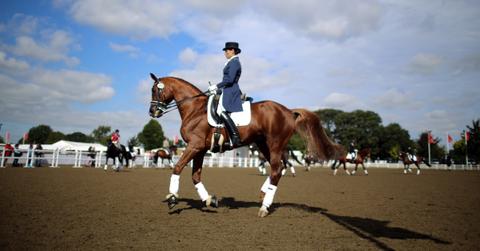 Rider performing dressage.