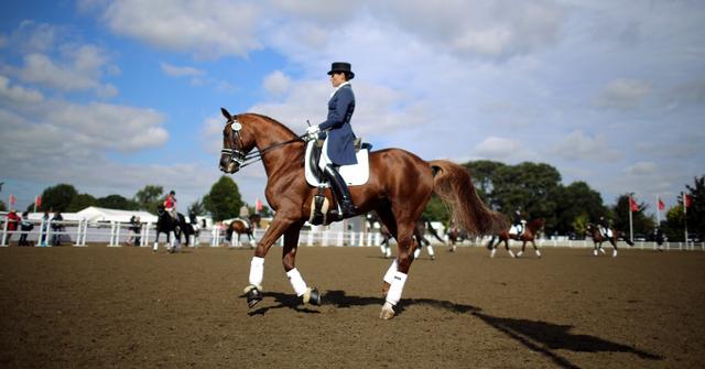 Rider performing dressage.