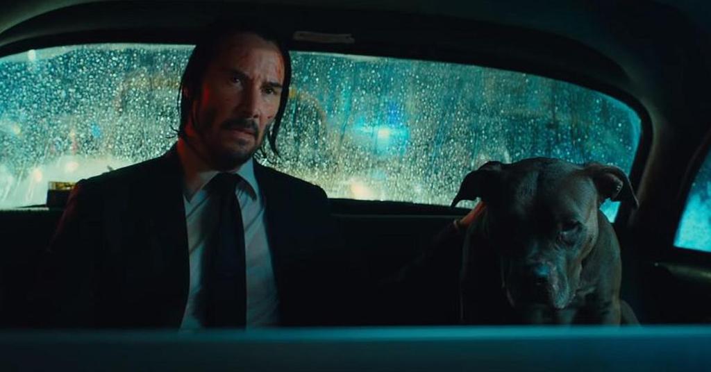 john wick and dog pop