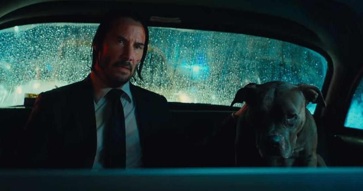 pop john wick with dog