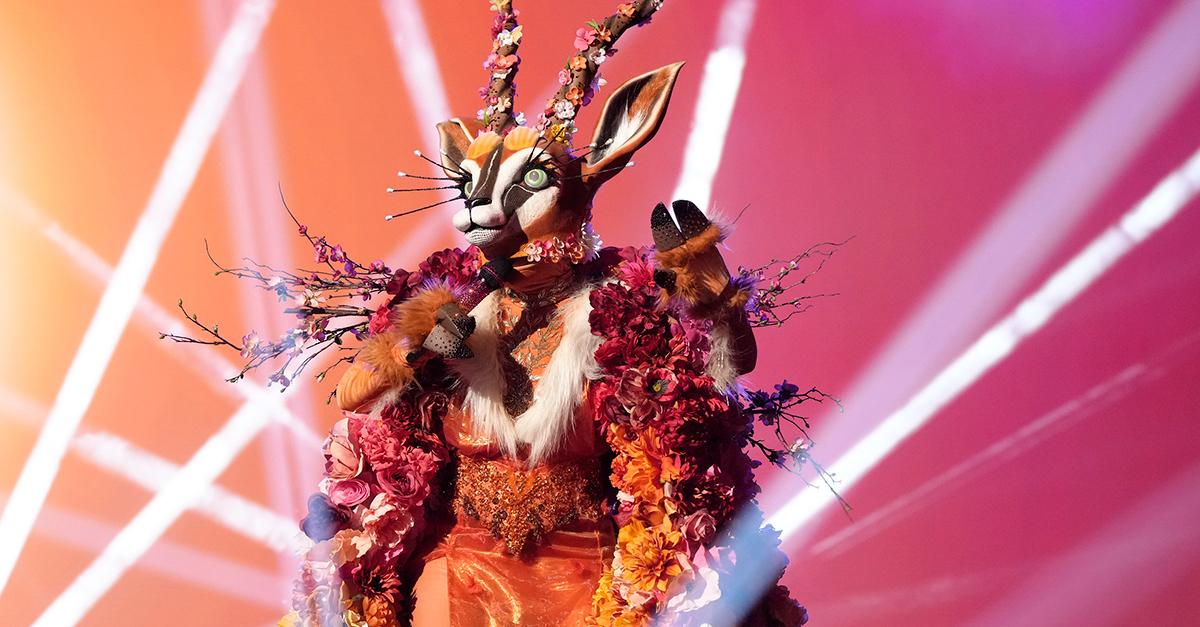 Who Is Gazelle on The Masked Singer? Identity Revealed