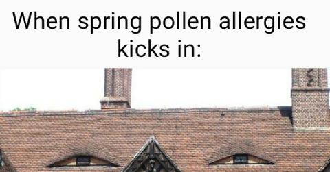 First Day of Spring Meme