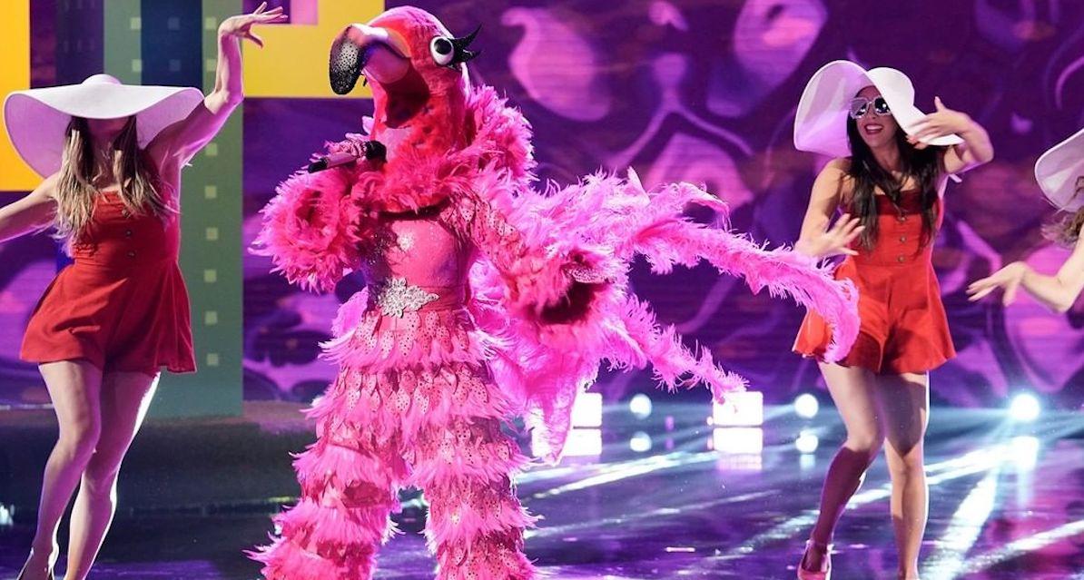 flamingo masked singer