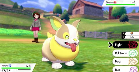 Pokemon Sword And Pokemon Shield News Latest Leak Will Help You Choose Between Ponyta And Darumaka Nintendo Fights Back Notebookcheck Net News