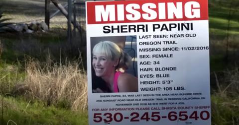 Missing persons flyer for Sherri Papini