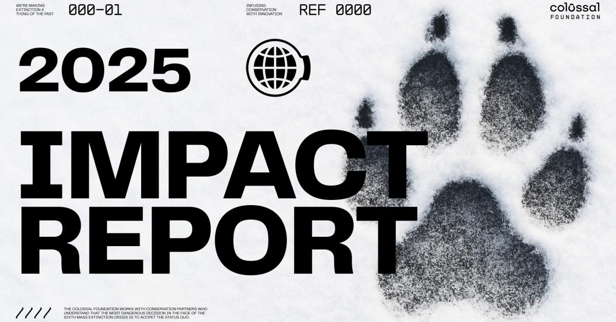 The Price of Survival: Colossal Foundation Raises $100 Million for Genetic Rescue