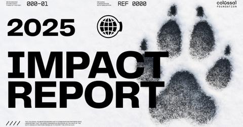 The Price of Survival: Colossal Foundation Raises $100 Million for Genetic Rescue