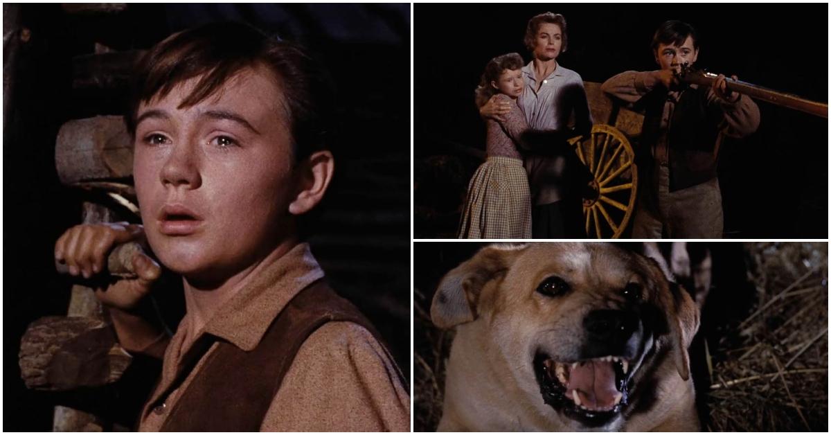 saddest movie character deaths old yeller