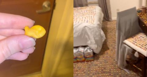 featured goldfish tiktok prank