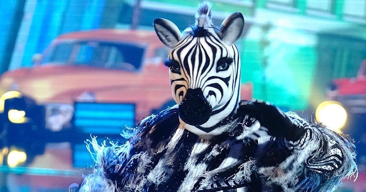 The Zebra on 'The Masked Dancer' 