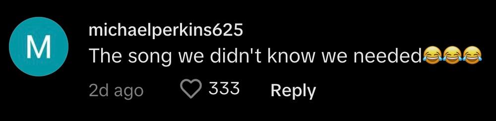 TikToker @michaelperkins625 commented, "The song we didn't know we needed"