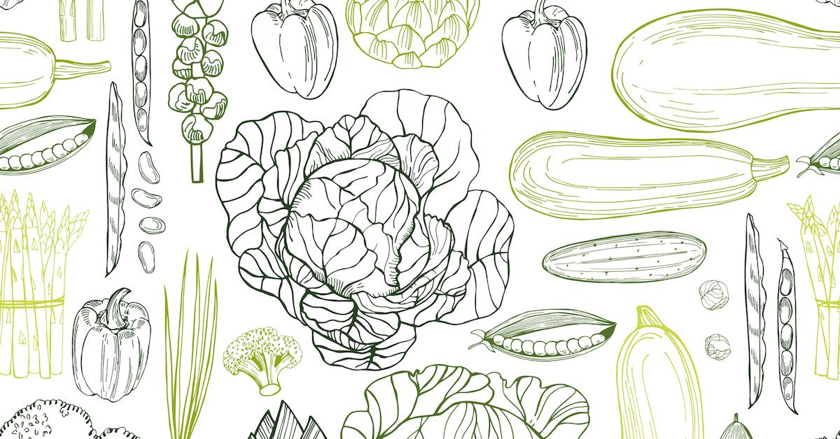 illustrations of vegetables