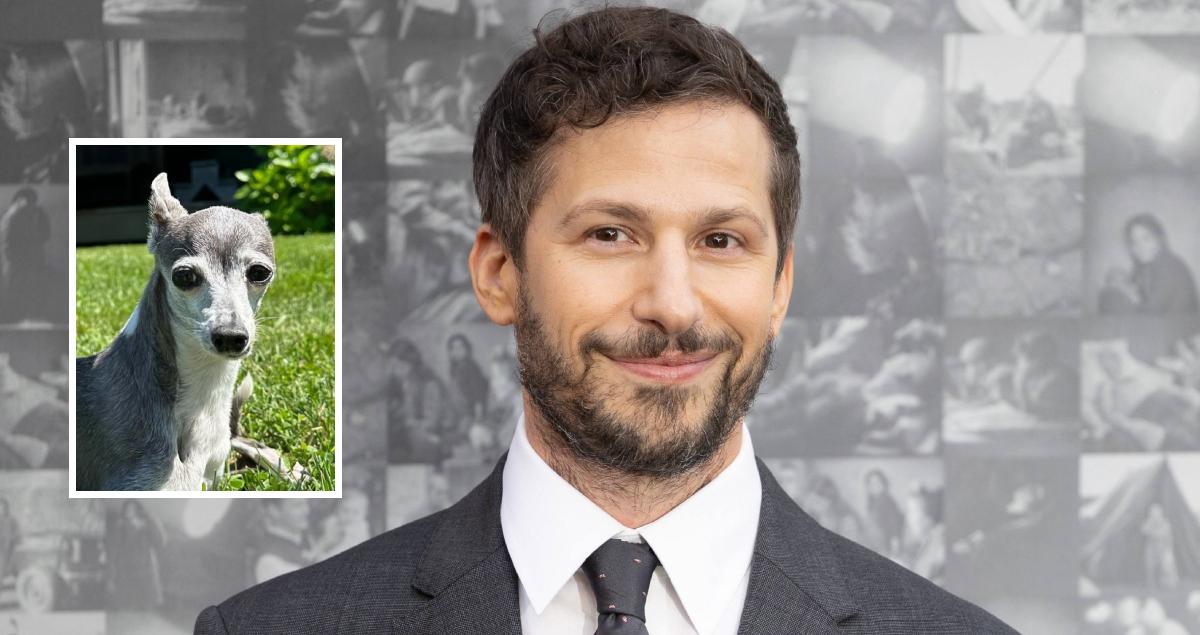 Andy Samberg and Seth Meyers's dog Frisbee.