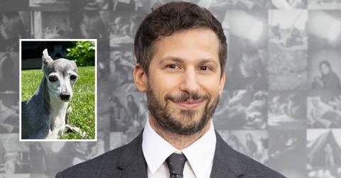 Andy Samberg and Seth Meyers's dog Frisbee.