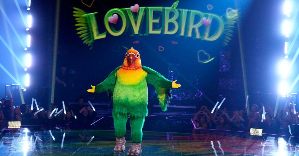 lovebird during the season 11 premiere of the masked singer on fox