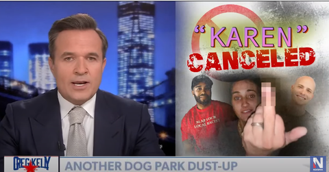 What happened Greg Kelly Newsmax