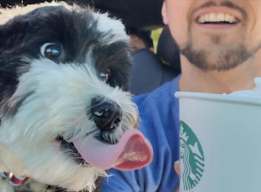 the FGTeeV dog Oreo