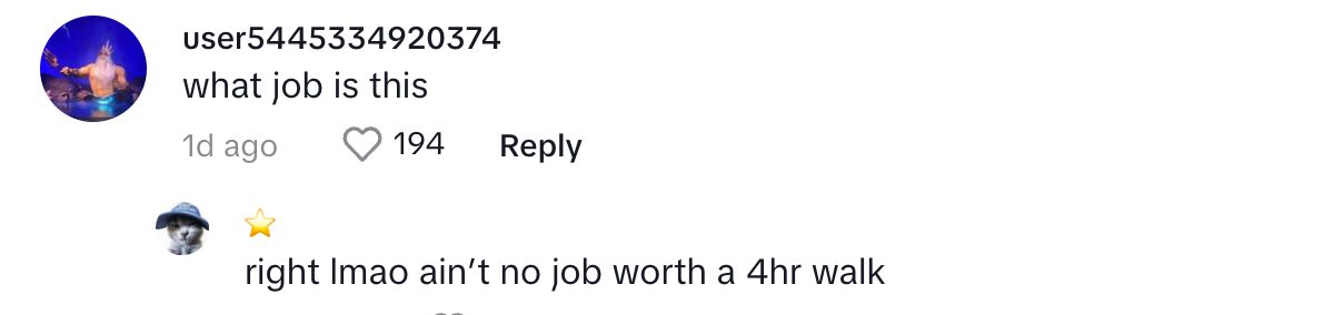 A comment on the viral video of a woman attempting to walk four hours to work.