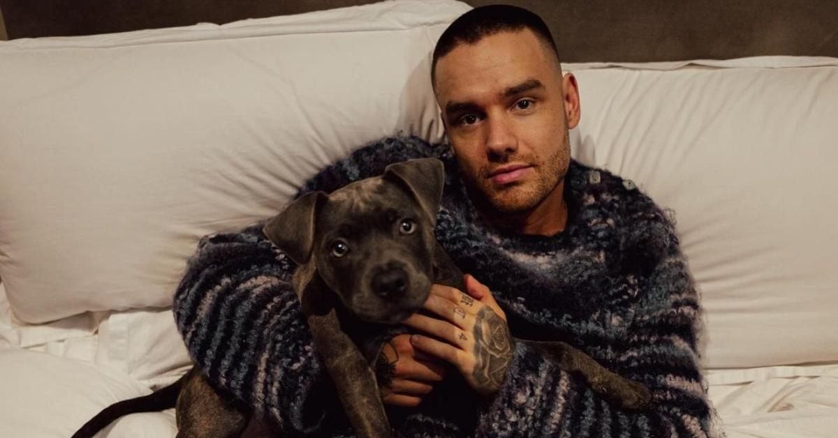 Liam Payne with his dog