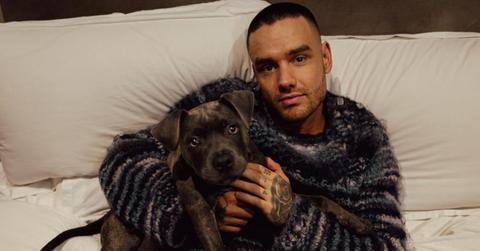Liam Payne with his dog