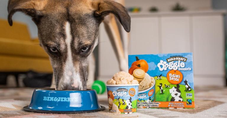 Ben & Jerry's Releases Ice Cream for Dogs With Two Flavors to Buy