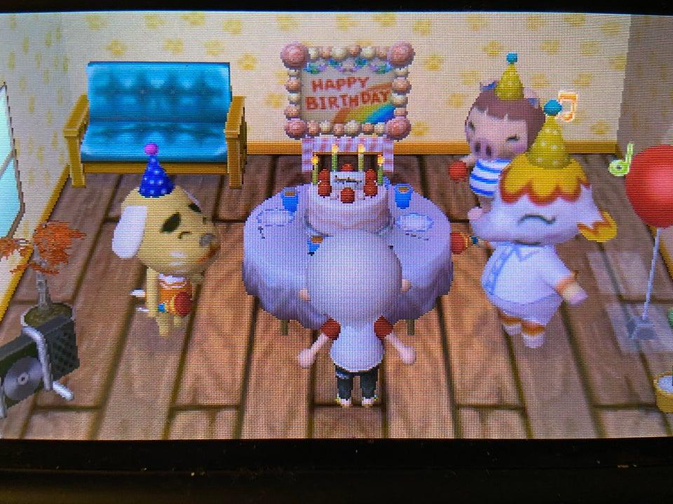 wife birthday ideas reddit